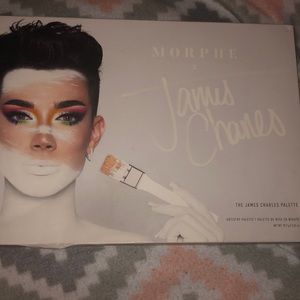 NITB James Charles palette